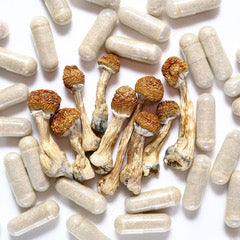 Mood Healers – Capsules Premium Microdosing Mushrooms
